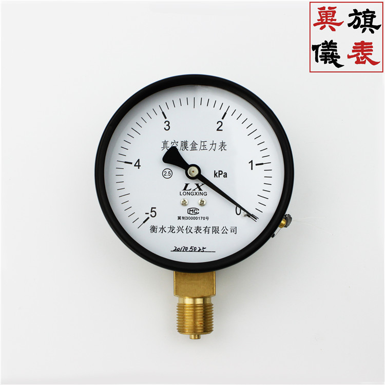 YE-100膜盒压力表